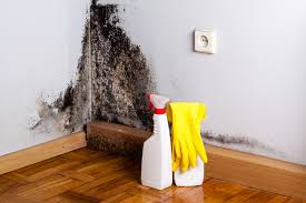 Reliable North Lakeport, CA Mold Removal & Remediation Solutions